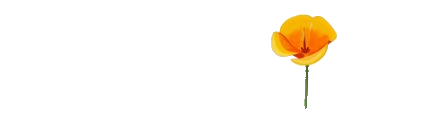 The Little Seed Education Systems