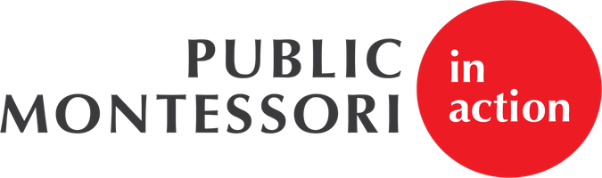 Public Montessori in Action International